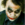 A666cd19f6a2fd0ef68b20a6336adb40